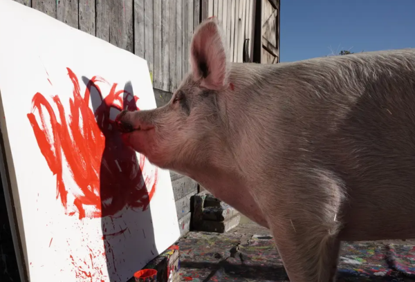 Một con lợn tên là Pigcasso nổi tiếng với việc vẽ những bức chân dung trừu tượng và đã bán được tác phẩm nghệ thuật trị giá 1 triệu đô la, người cứu hộ của cô cho biết